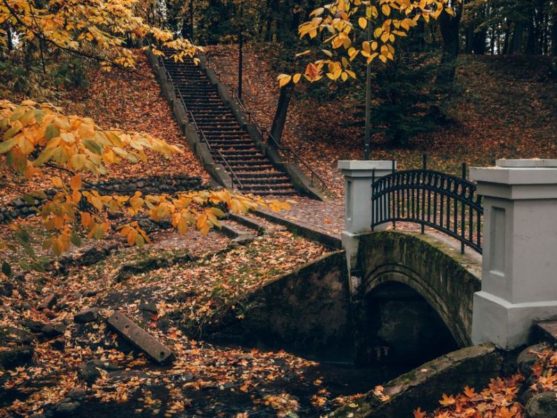 Autumn Intention: The Whisper of the&nbsp;Wind