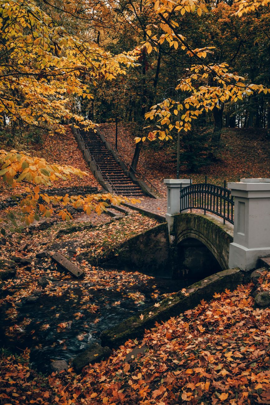 Autumn Intention: The Whisper of the Wind